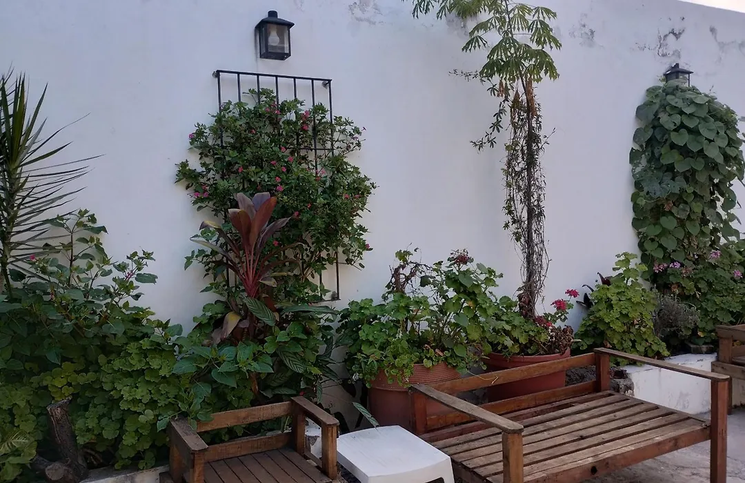 Casa Del Arte-1