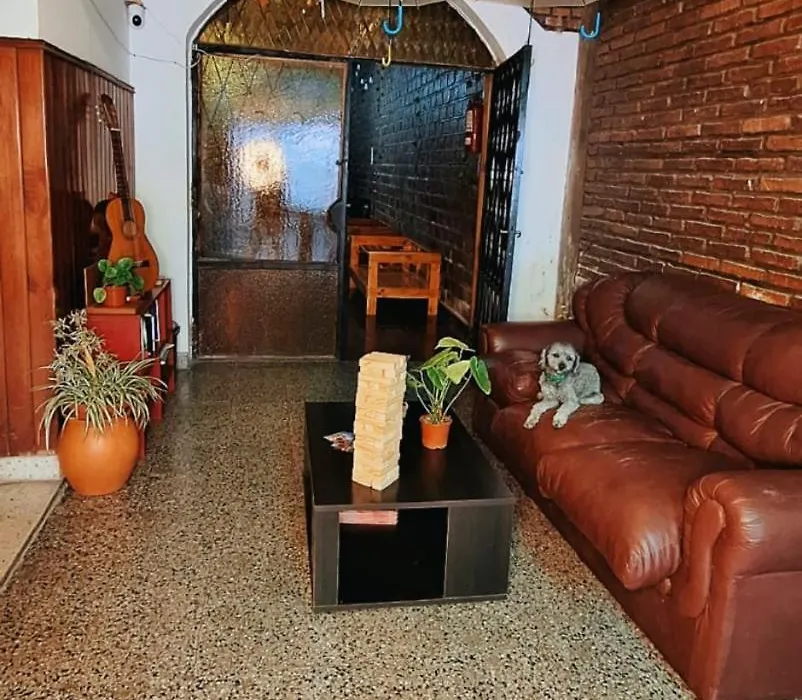 Alpha House Hostel-1