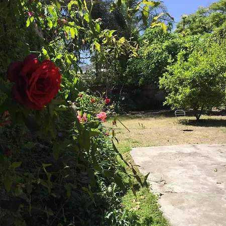 La Casa De Fomia-3
