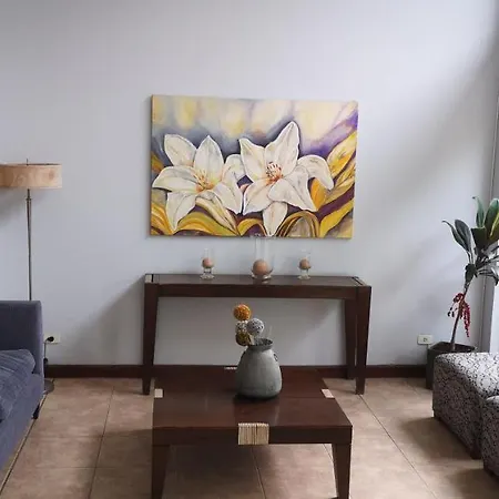 Hermoso Departamento A 30 Metros De Paseo Balcarce-3