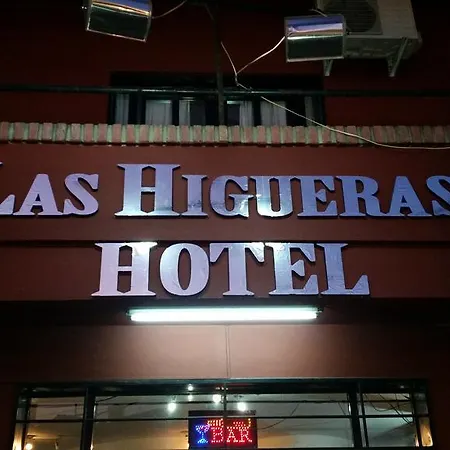 Hotel Las Higueras Salta-2