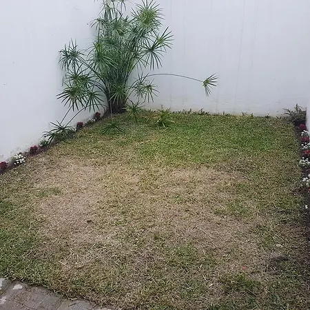 Cedros Apart Salta-2