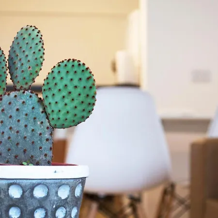 Cactus 2-3