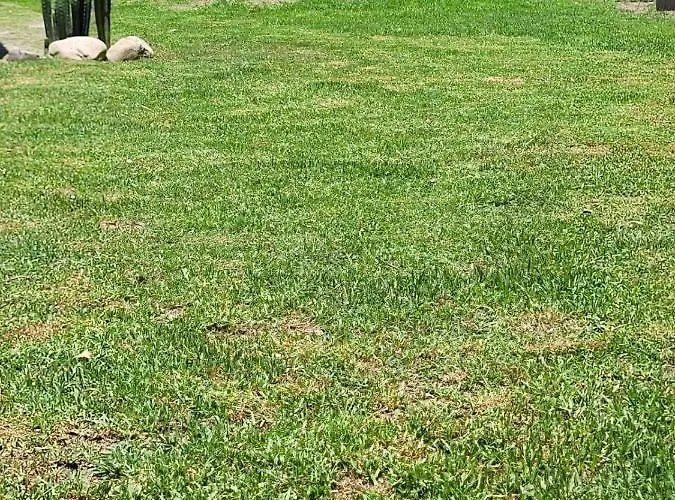 Pet friendly Cabana Benicio Villa Salta