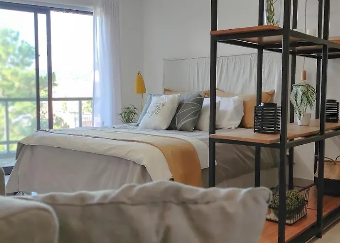 Apartamento Monoambiente En Salta ! admite animales