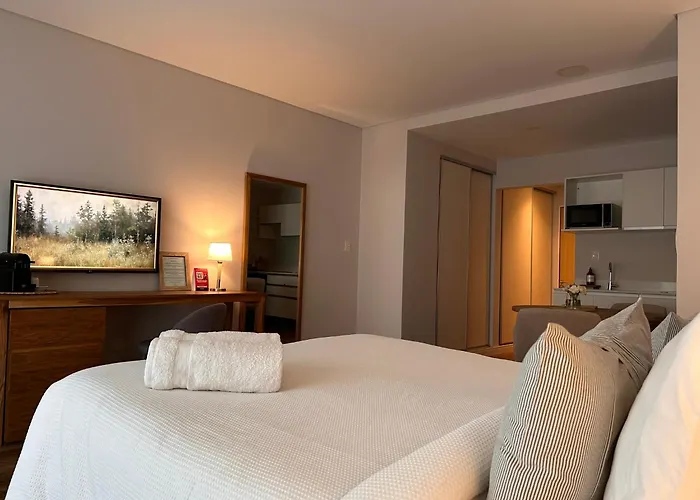 Soar Luxury Studio en el centro de Salta admite animales